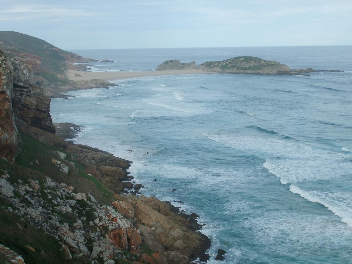 Dolphins' Playground Beachfront B&B Plettenberg Bay Dış mekan fotoğraf